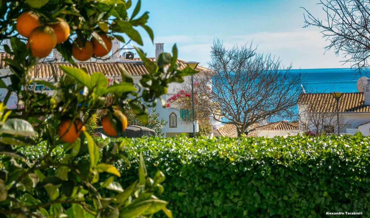 C12 - Sunshine Apartment In Luz Dış mekan fotoğraf